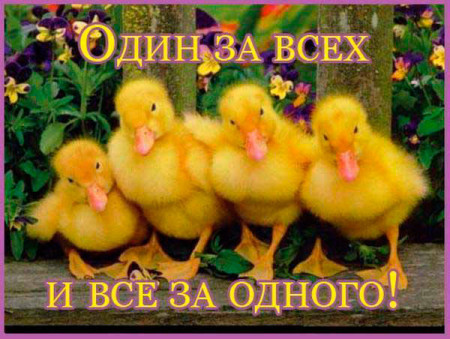 В группе Скородумовой просят поддержать Сашу