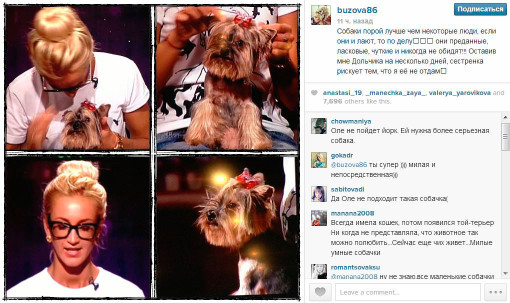 Ольга Бузова завела собачку