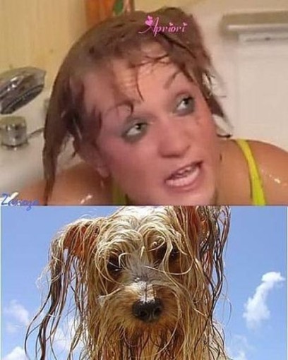 PUBLISHED by catsmob.com