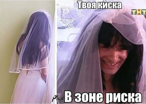 PUBLISHED by catsmob.com