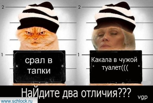 Приколы дом 2 (10 октября) Часть 1