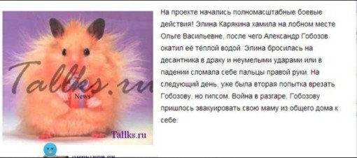 Сводка новостей дом 2 на 31.10.13