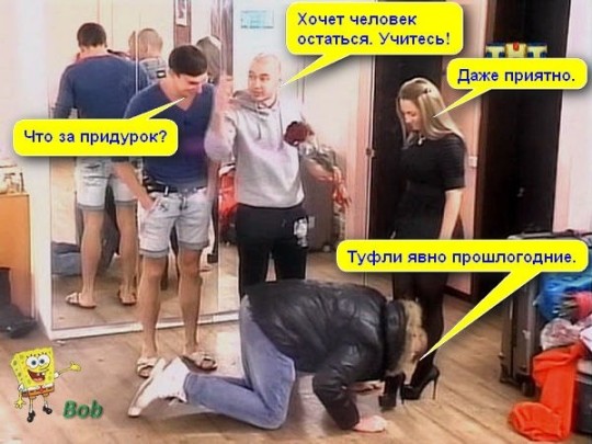 1385235954_fheujltitlu 1385235954_fheujltitlu