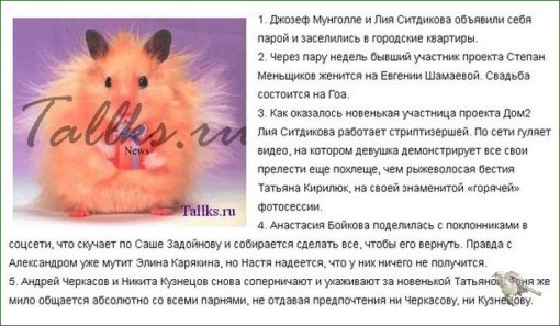 Коротко о главных новостях на сегодня. 07.11.13