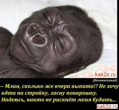 Приколы дом 2 (28.11.13)