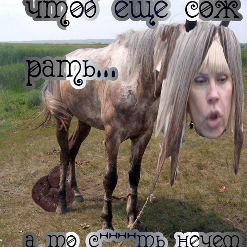 EGH3TDnNbNc