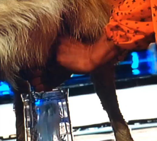 Волочкова стала дояркой. Волочкова стала дояркой.