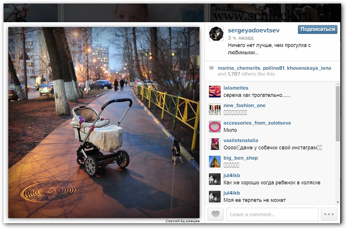 Адоевцева инстаграмм. Сергей Адоевцев Инстаграм. Адоевцева в инстаграме. DS_q0 Инстаграм.