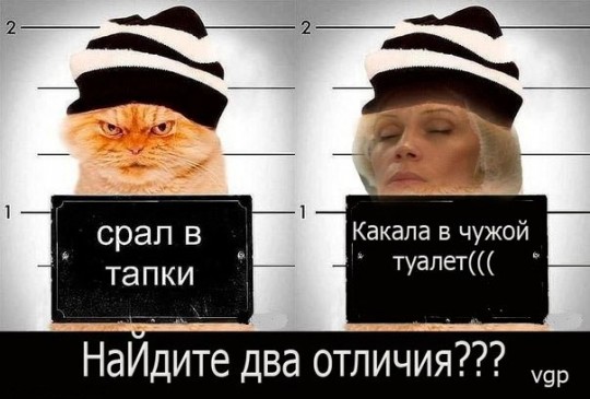 Фото приколы. Свежая подборка на 16.05.2014