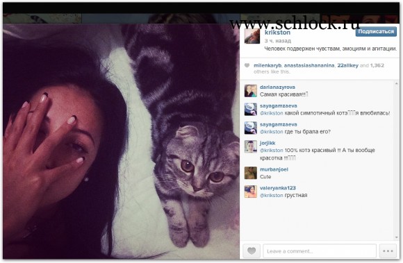 foto-dom-2-43 foto-dom-2-43