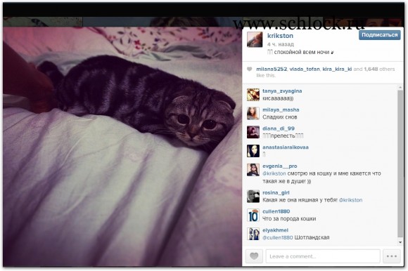 foto-dom-2-44 foto-dom-2-44