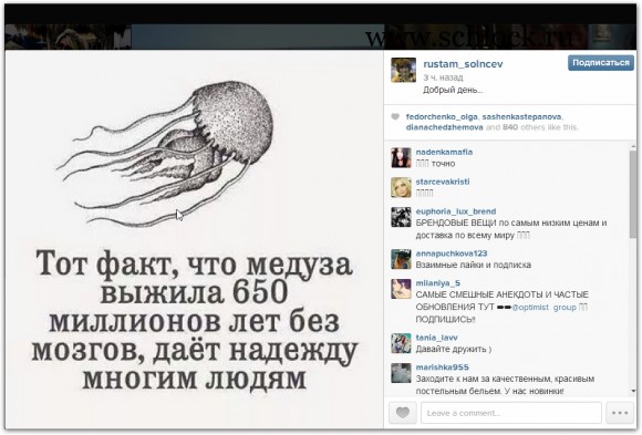 Рустам Калганов в инстаграм 13.08.14. Хомяк рядом Пашка