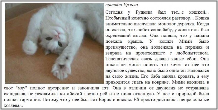 Во она - третья ведущая дома 2 Во она - третья ведущая дома 2