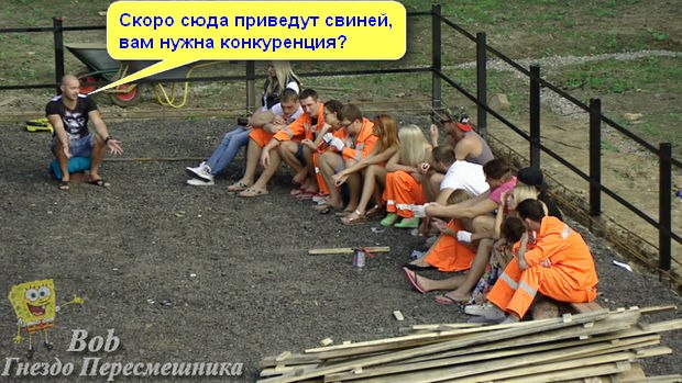 Фото приколы. Свежая подборка на 14.09.14