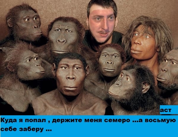 118313184__R34fF_1416753873 118313184__R34fF_1416753873