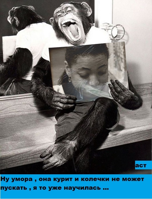 118313189_115242080_fUIYI_1416752519 118313189_115242080_fUIYI_1416752519