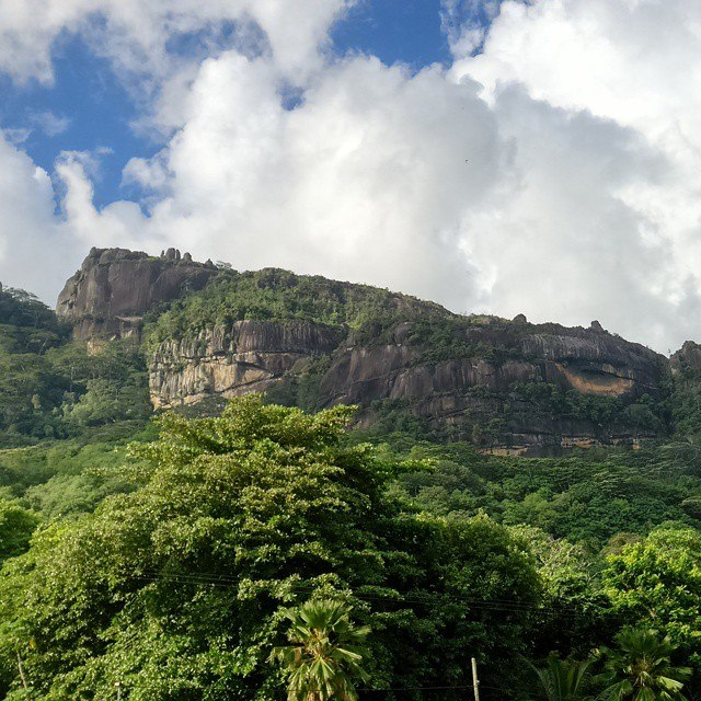 118403143_MxMvE9tZhYY 118403143_MxMvE9tZhYY