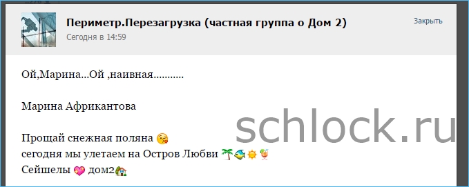 dom2-11