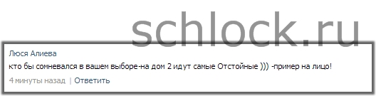 dom2-313