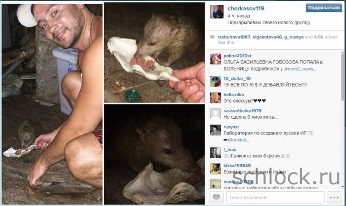 Свежее с острова любви 09.12.14