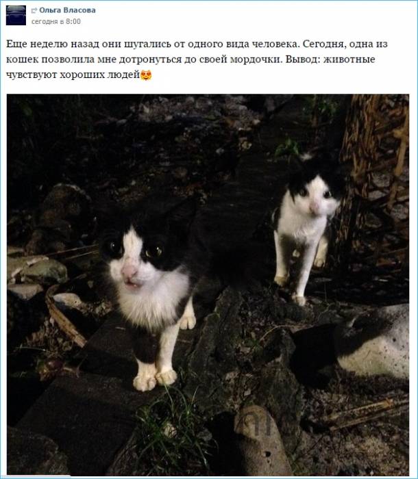 Первый контакт с коренными жителями острова