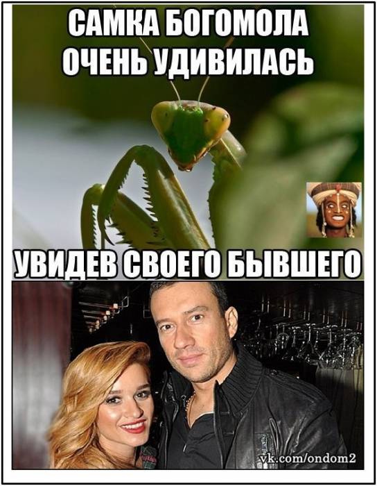 pQ0ggkYfMkw