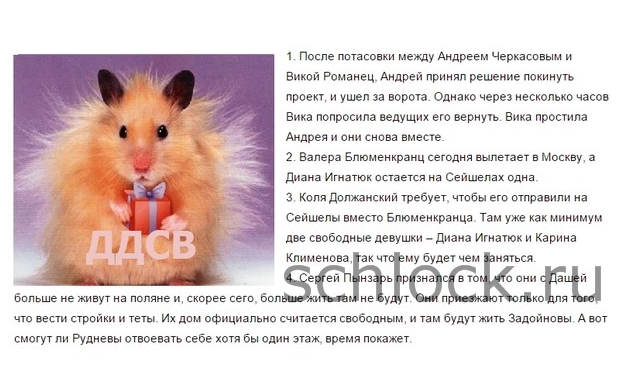 Новости кучкой на 30.01.15