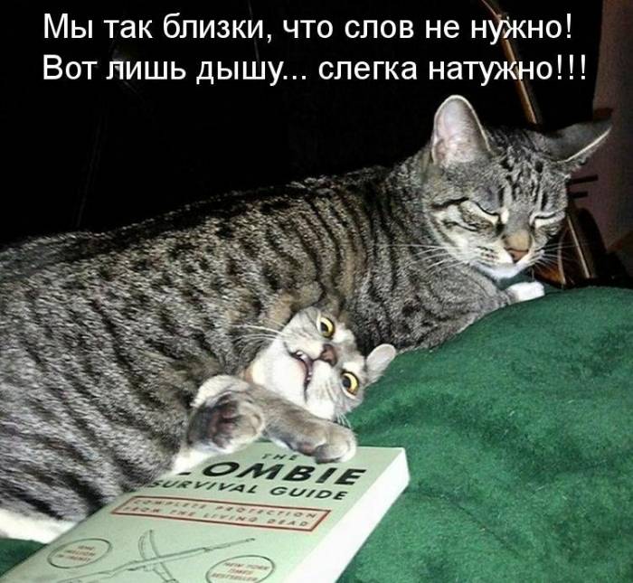 Статистика проекта дом 2