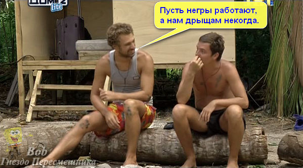 71paV