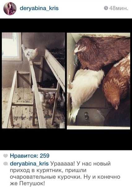 Неожиданное пополнение на доме 2