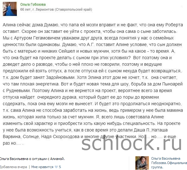 Предположения обиженной свекрови или горькая правда?!