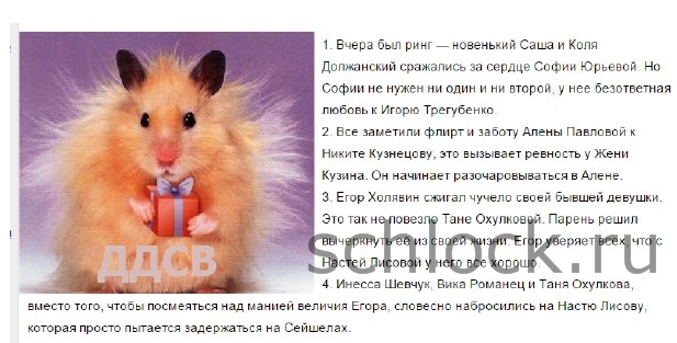 Новости кучкой на 11.02.15