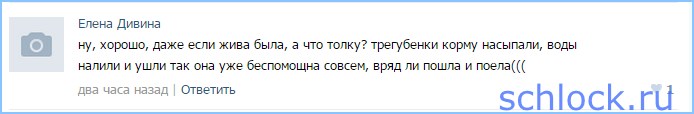 Этого Рудневым зрители не простят! Этого Рудневым зрители не простят!