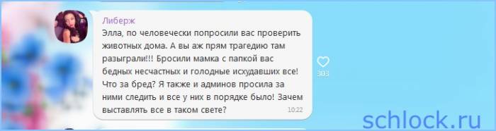 Рудневых оболгали?! Рудневых оболгали?!