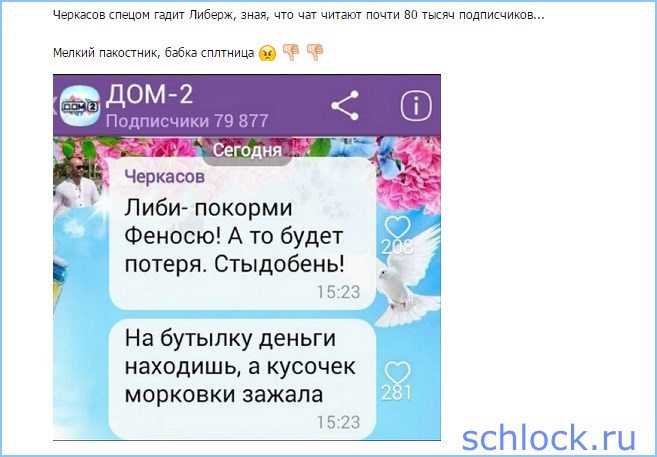 Мелкий пакостник, бабка сплетница