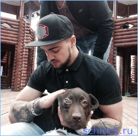 Форест - Настя гладила всех. А меня?!