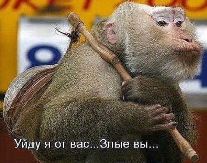 Двухэтажный дом для дамы