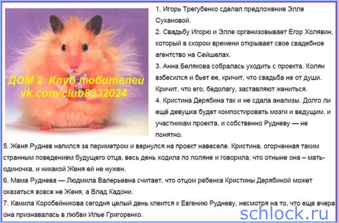 Новости кучкой на 21.05.15 Новости кучкой на 21.05.15