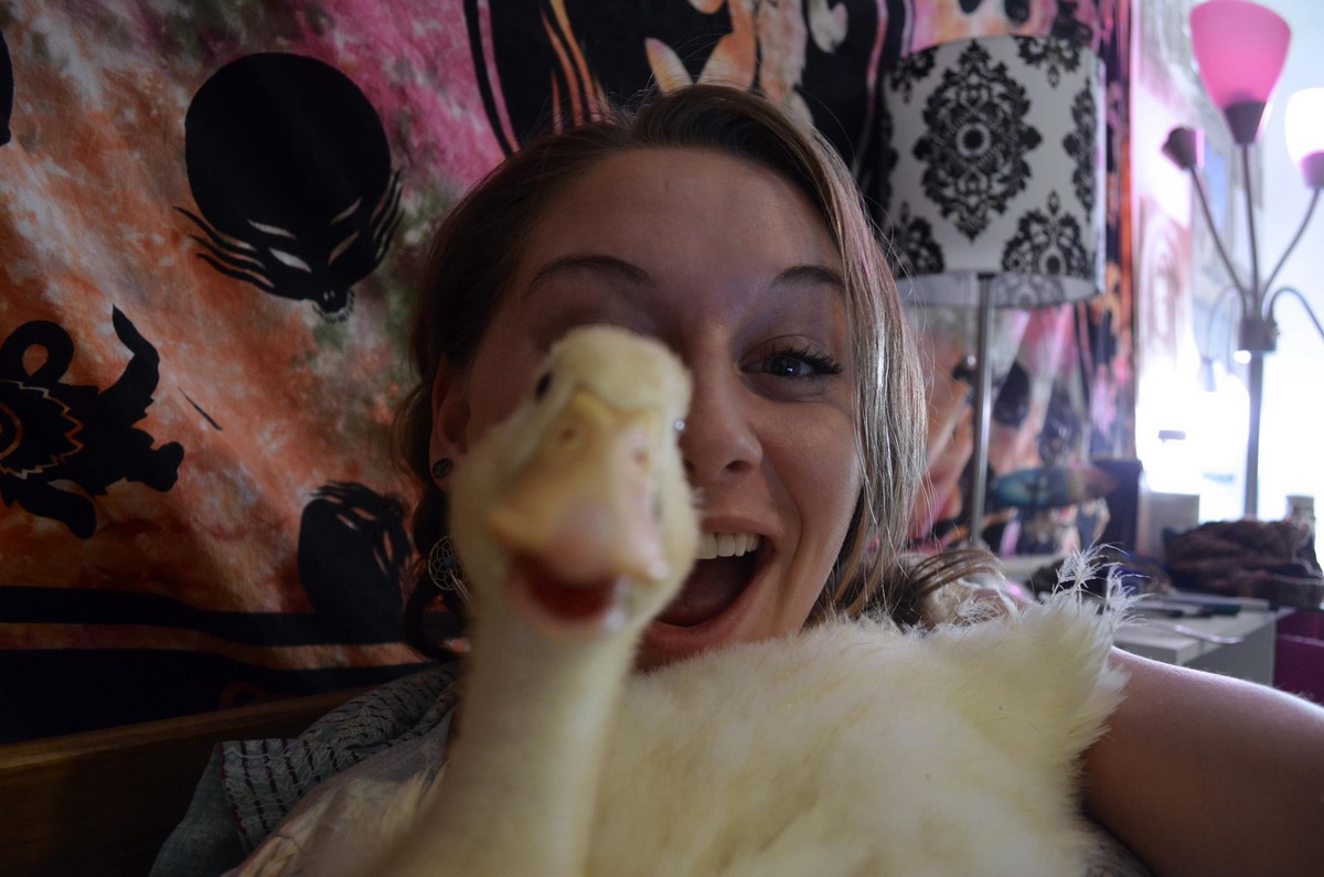 Селфи – новый вид сумасшествия