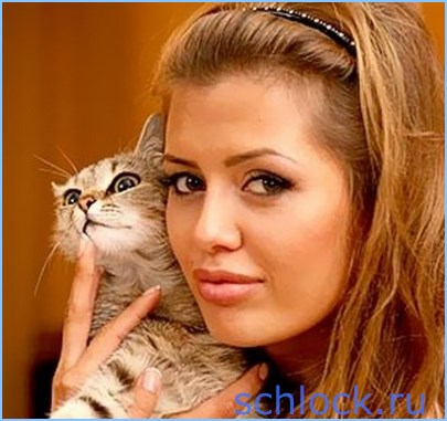 Боня снова появится на ТВ
