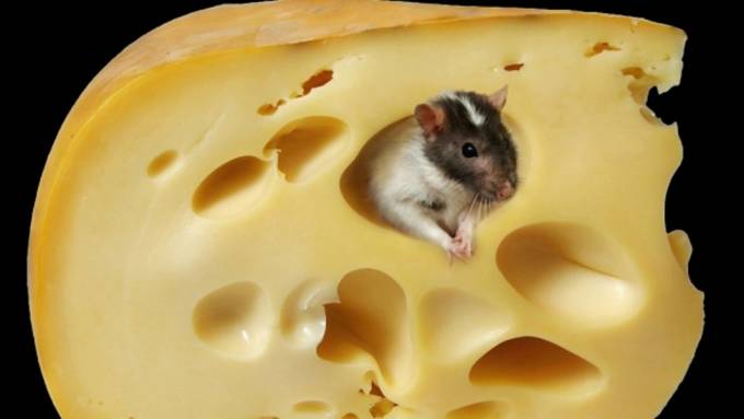 Сейшельский Партизан