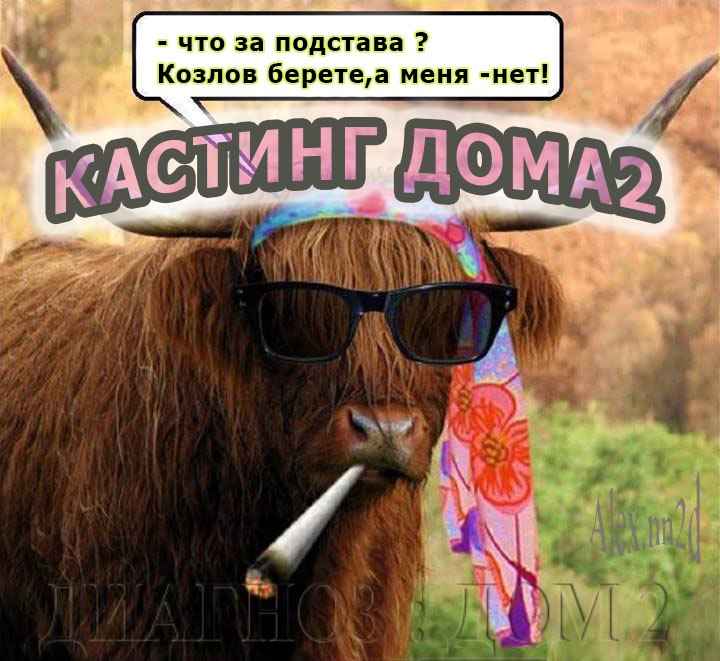jLvGTboVrpo