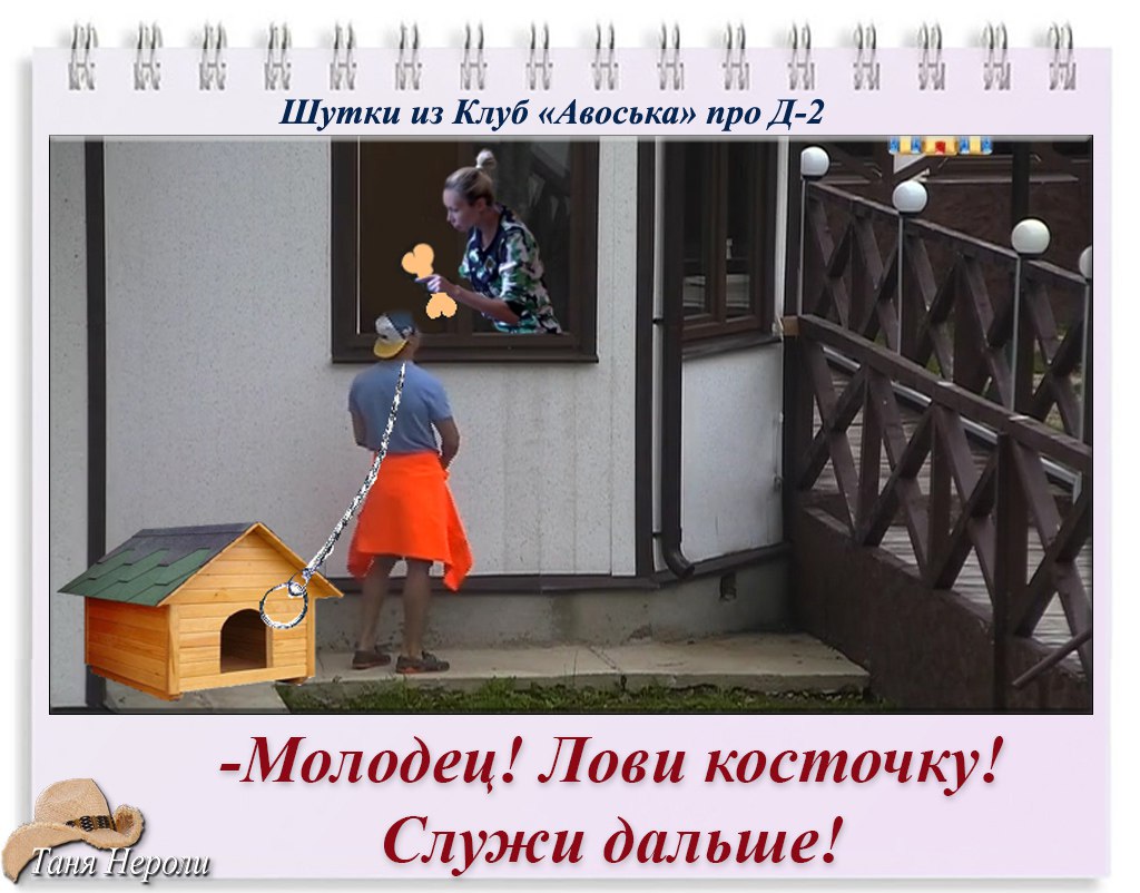 Приколы. Подборка 2.08.15. Авоська