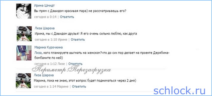 Елизавета Шароха отвечает на вопросы 