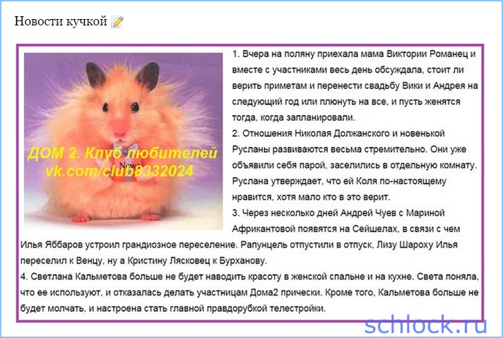 Новости кучкой на 26.11.15