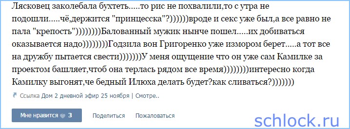 Трегуб, заведи собаку!