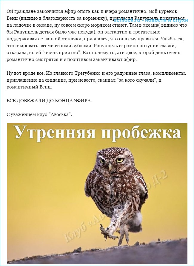 Обзор дневного эфира 25 ноября