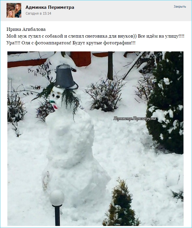 Ирина Александровна и чахлый снеговик