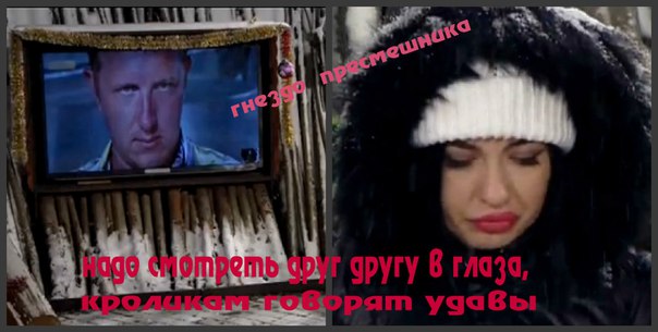 Пересмешки. Подборка 24.12.15