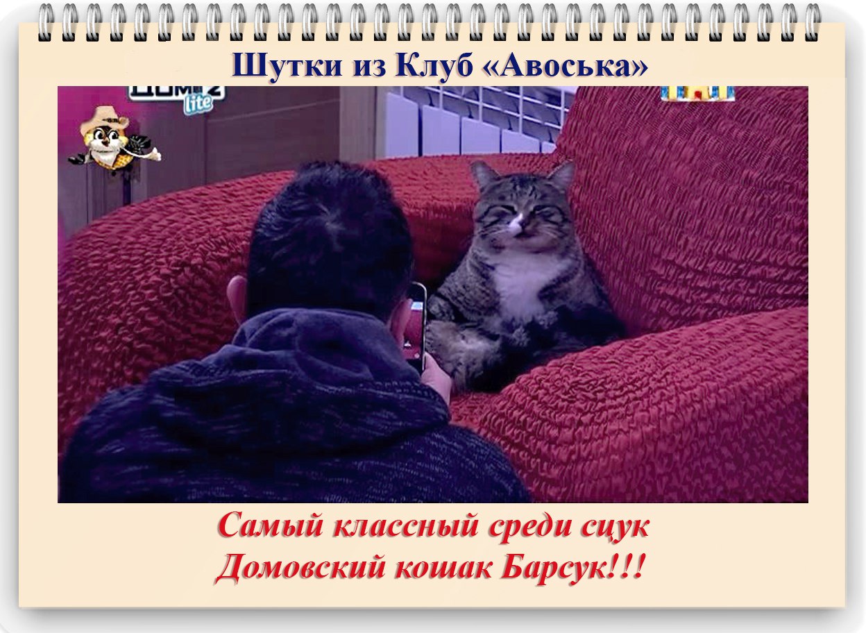 Приколы. Подборка 19.12.15